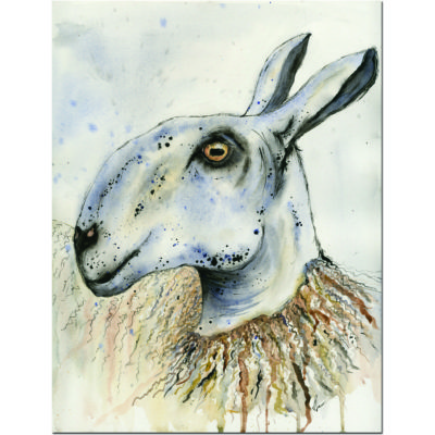 Rachel Farr Blue Leicester Sheep watercolour