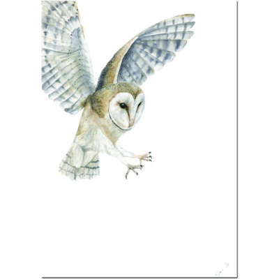 Rachel Farr barn owl in flight the return watercolour painting
