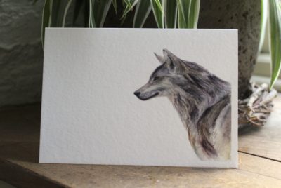Rachel farr 'out 'there' wolf card