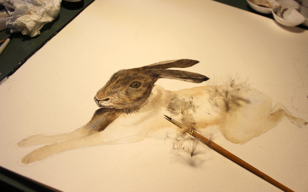 A hedgerow hare in the making….
